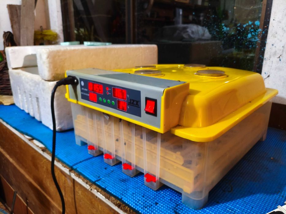 Chocadeira com viragem automática 48 ovos