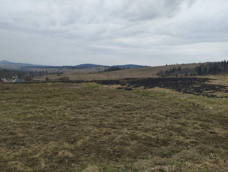 Ділянка у курортній зоні Карпат 80 сот.Обмін