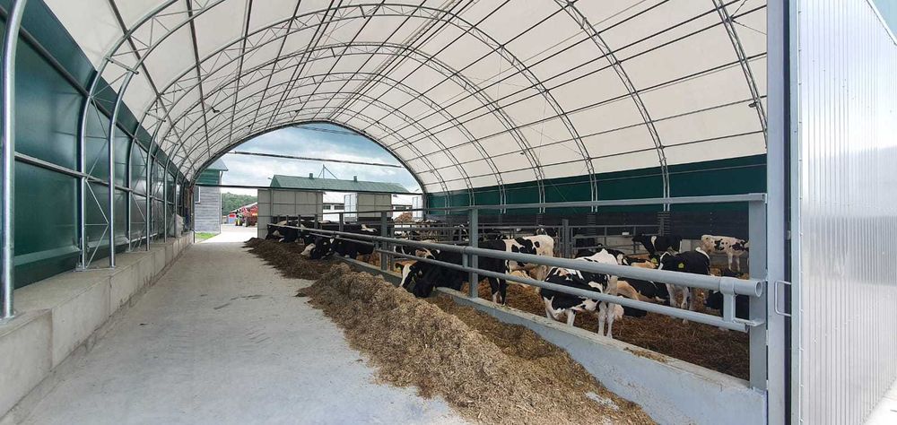 HaleNaBale.pl hale dla bydła 15m x30m