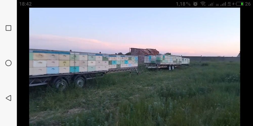 Продам пасику  з пчолами можно по штучно Улья  и всем компликтующем, ц