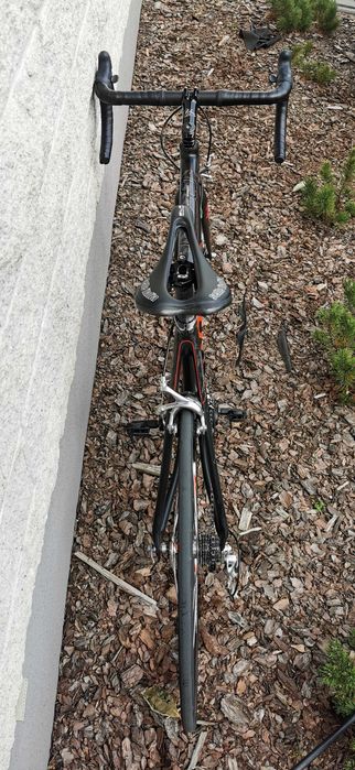 Rower szosowy FOCUS Cayo M/L