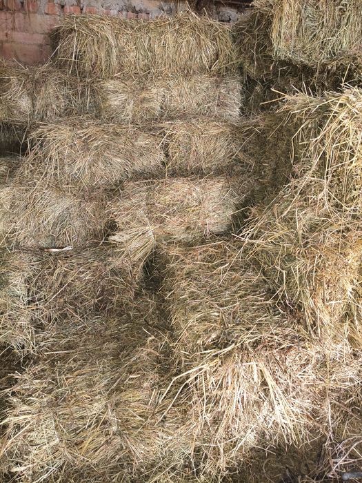 Сіно в тюках/Тюки сіна