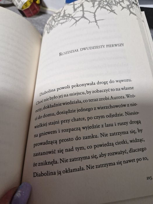 Czarownica Prawdziwa historia Diaboliny Jakub Polkowski