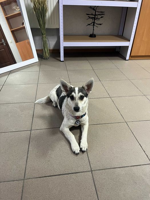 Хлопчик Добі шукає свою родину