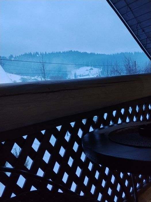 ,,Карпатський Будиночок,,