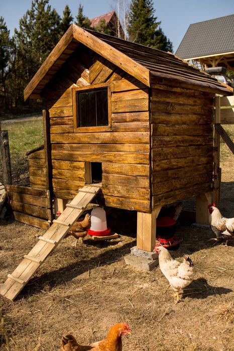 Kurnik xl WIKO dla 10-14kur, Ocieplony! deska świerk ,sosna! WIKO