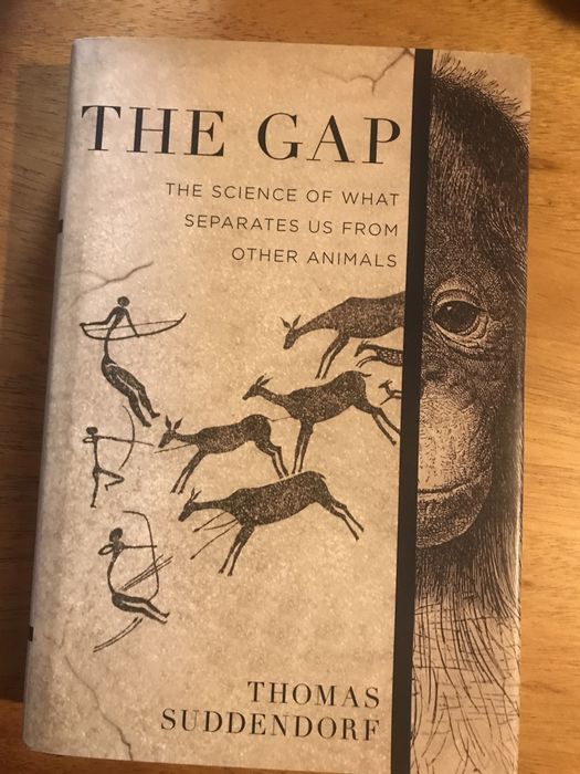 Livro “The Gap”64740292983939120