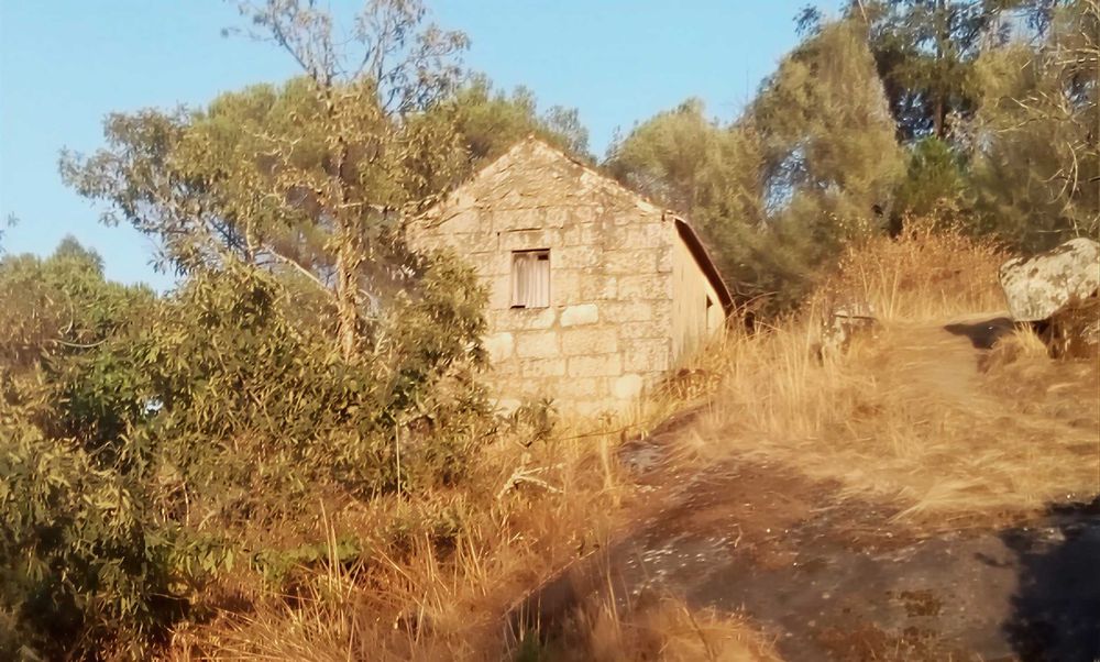 Quinta com ruina para recuperar! 1.3hec farm with granit house (ruin) Offgrid (Oliveira do Hospital)