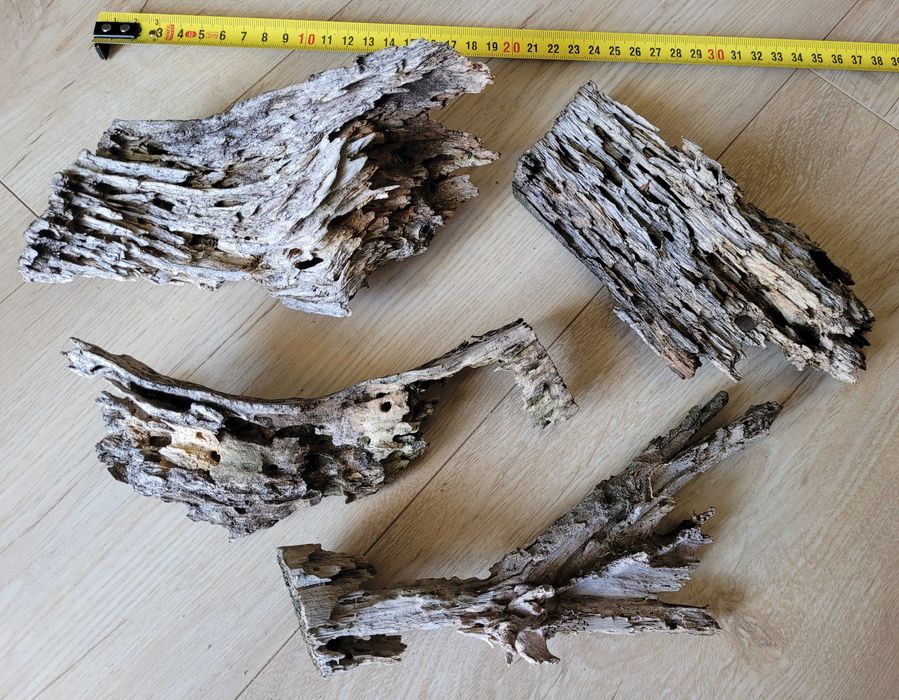 w zestawie - naturalny nadpróchniały korzeń do terrarium lub akwarium