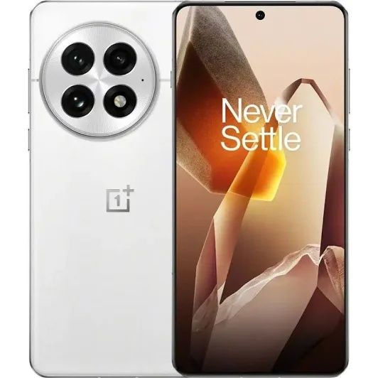 OnePlus 13  China