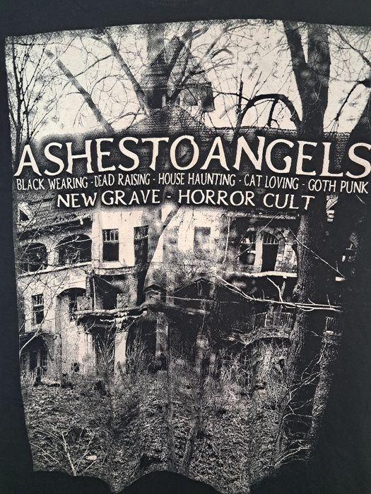Футболка мерч Ashestoangels metal horror punk Gothic rock  рокерская недорогая Gildan