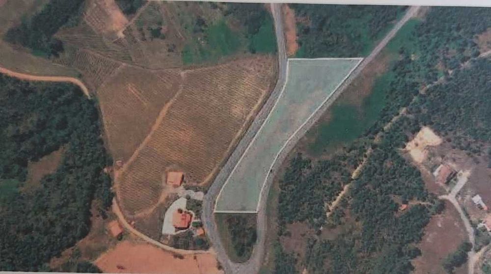 Terreno agricola