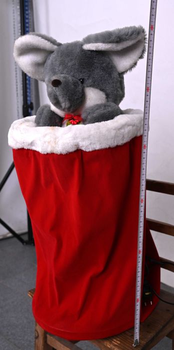 Rato de Natal sobe e desce