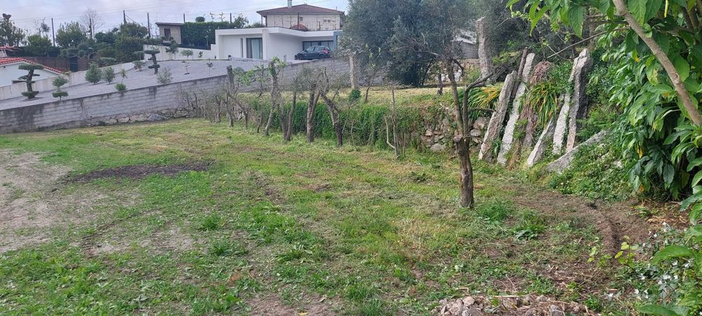 Quintinha Centenária em Pedra com 2.000 m² – Fonte Arcada, Póvoa de Lanhoso