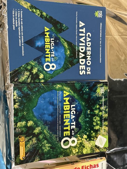 Manuais do 8 ano
