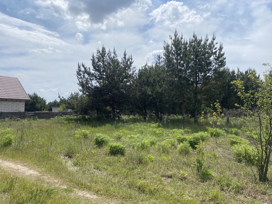 Ділянка 10 соток