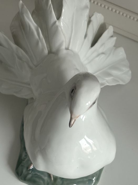 Gołębica Rosenthal