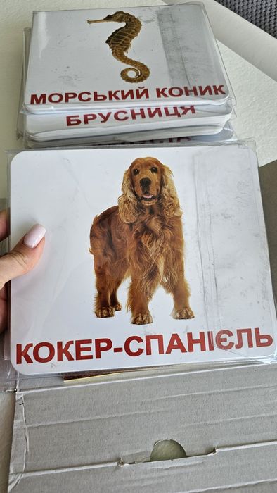 Набір картки Домана, велика валіза, рос і укр мови