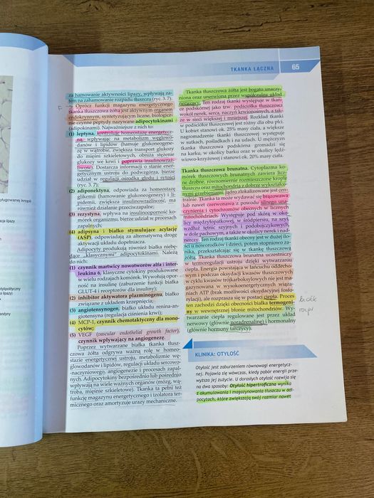 Histologia Maciej Zabel