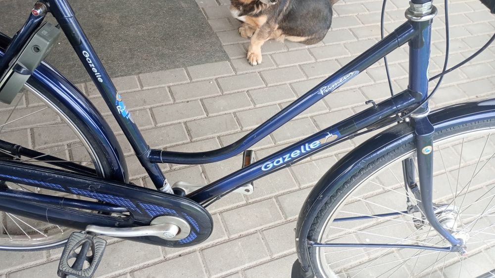 Rower holenderski Gazelle