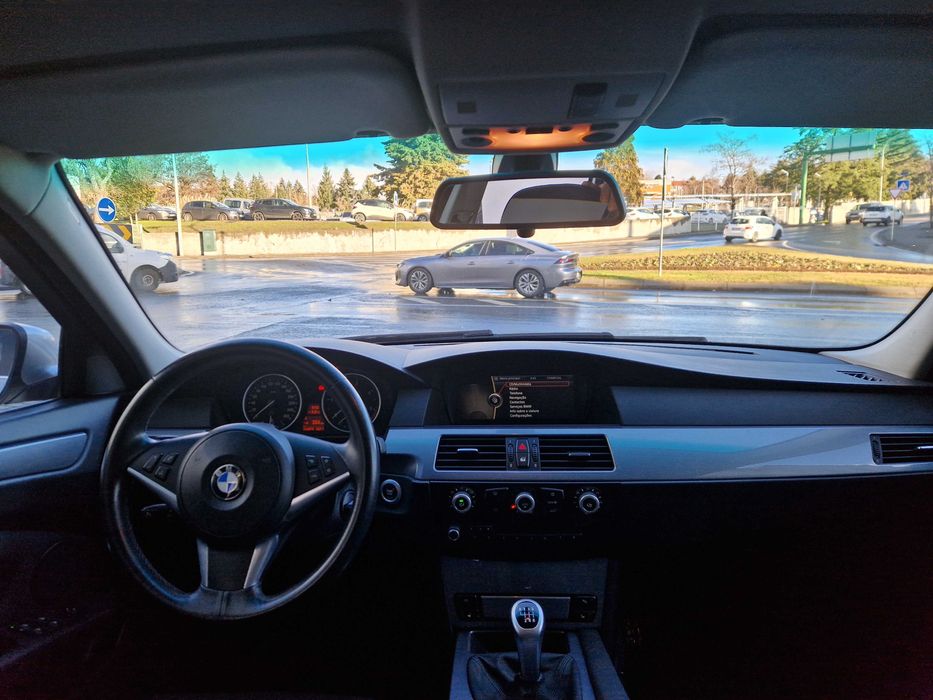 Procuro novo dono que me trate tão bem como este