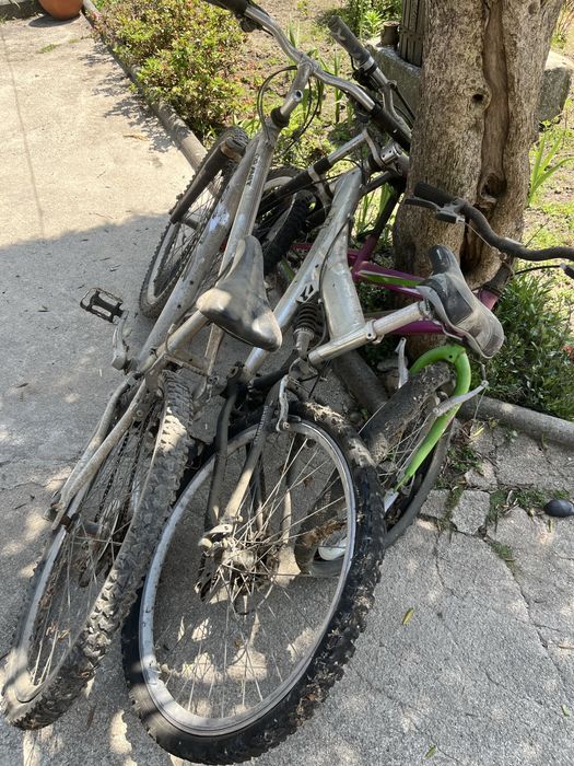 Conjunto de bicicletas