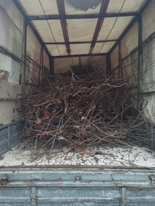 Вивіз будівельного сміття гілок старої меблі