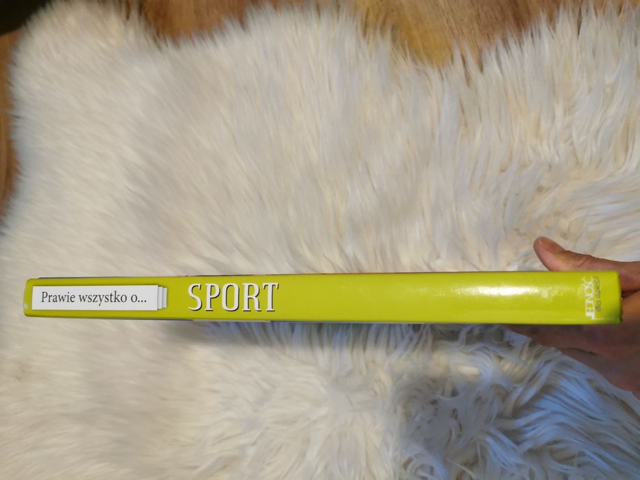 Książka Prawie wszystko o sporcie