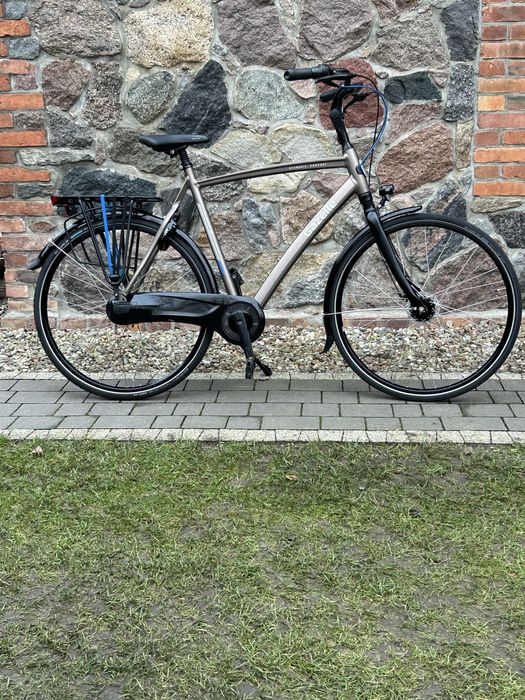 Rower Gazelle Chamonix C7