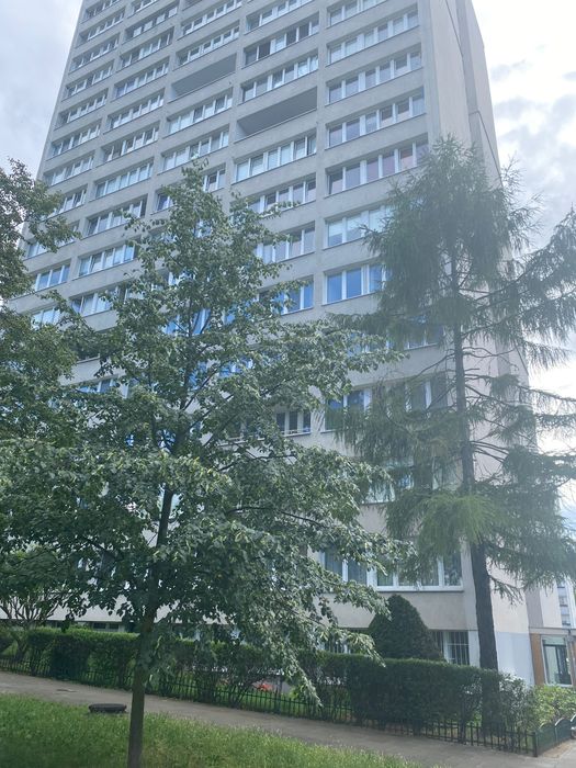 Mieszkanie na wynajem 2 pokoje 35 m