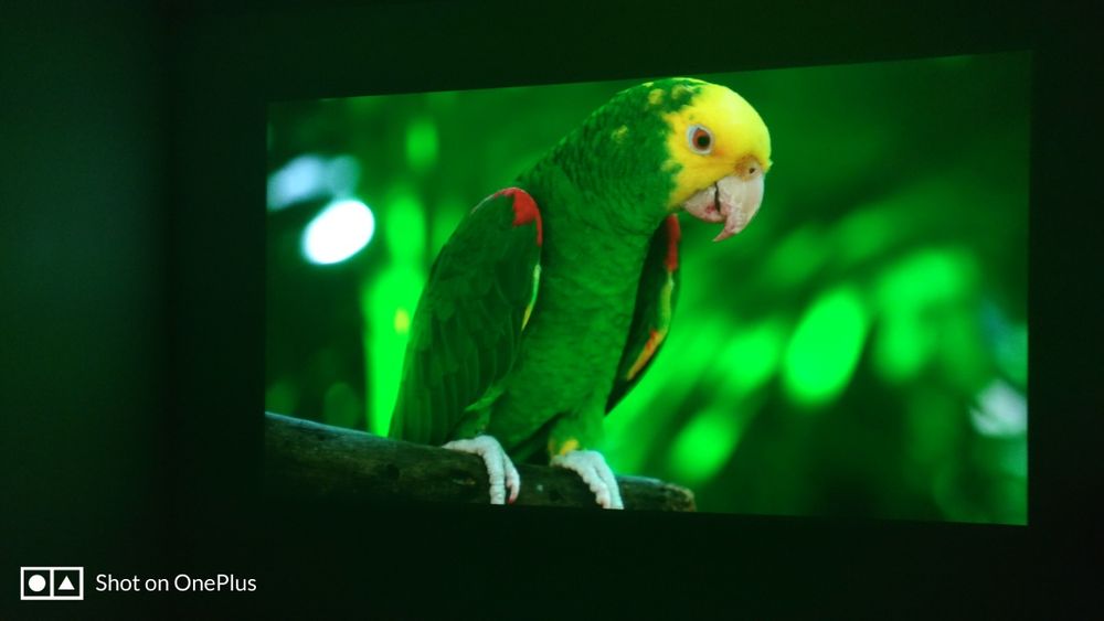 Проектор Optoma HD65