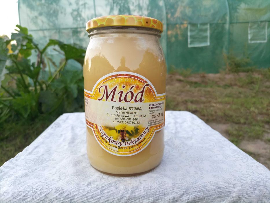 Miód rzepakowy - DUŻY SŁOIK