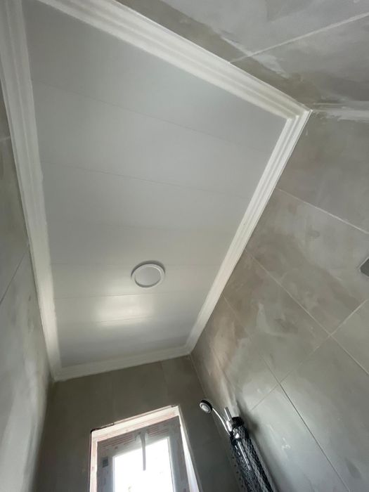 Limpeza e Restauração de Telhados