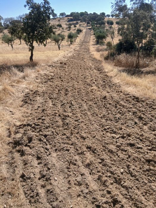 Prestaçao de serviços agriculas