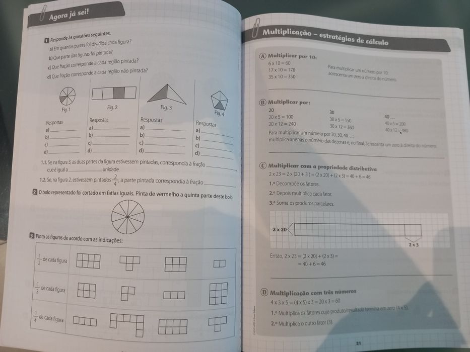 Caderno de apoio ao estudo 2.ano