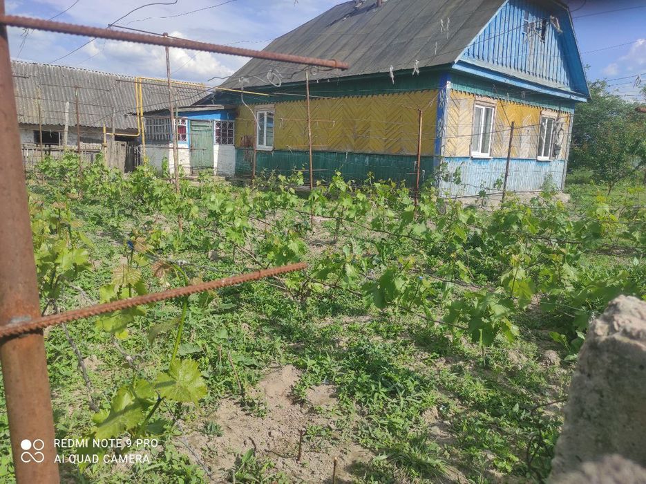 Продається будинок в с. Білокоровичі — 35 соток землі, плодовий сад