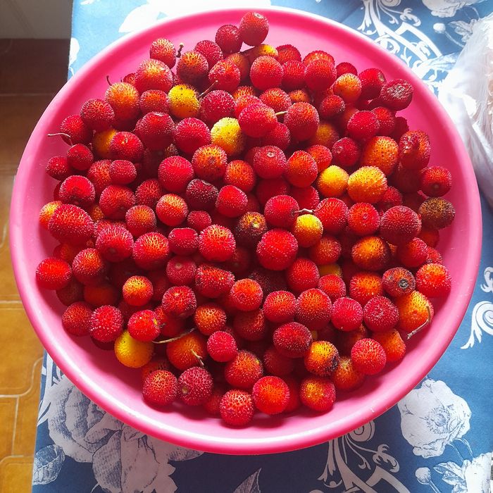 Medronho caseiro natural