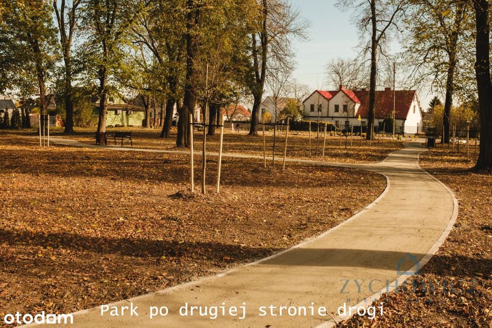 Zdjęcie 7