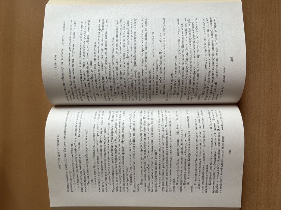 Тень Горы. Грегори Дэвид Робертс.