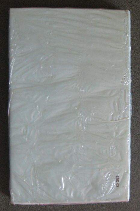 A Queda dum Anjo de Camilo Castelo Branco NOVO