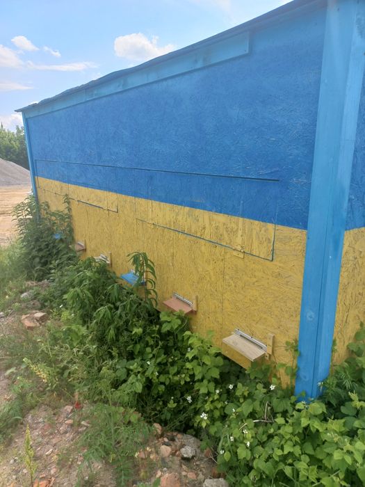 Павільйон для бджіл