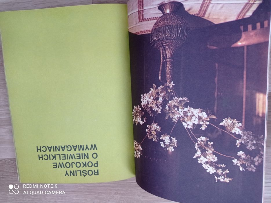 Kwiaty moja miłość
