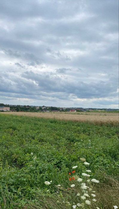 Продам земельну ділянку в с. Обарів