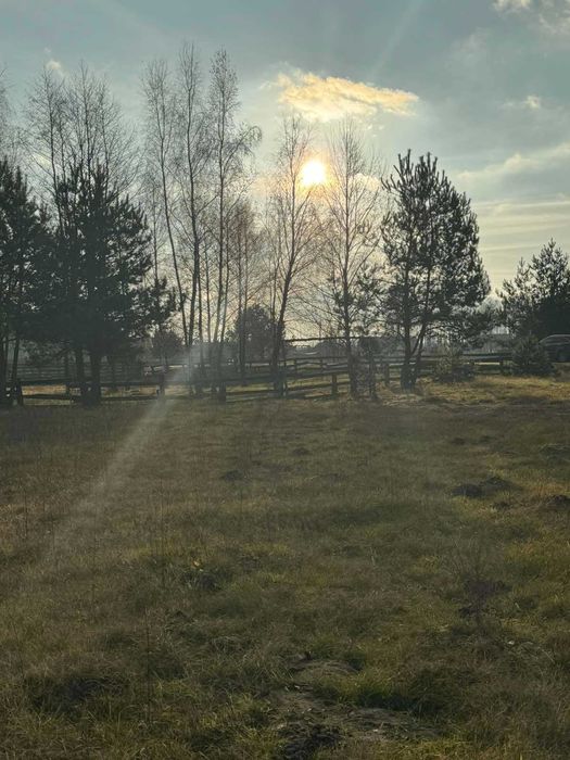 Земельна ділянка, с. Туринка