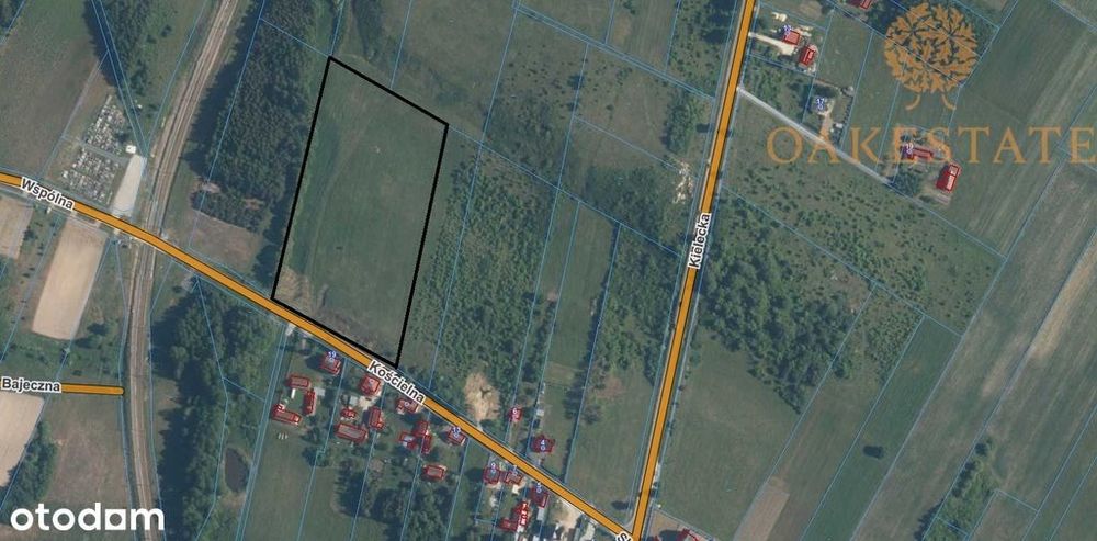 Malownicza działka 1,97 ha | Obice - Widok 2