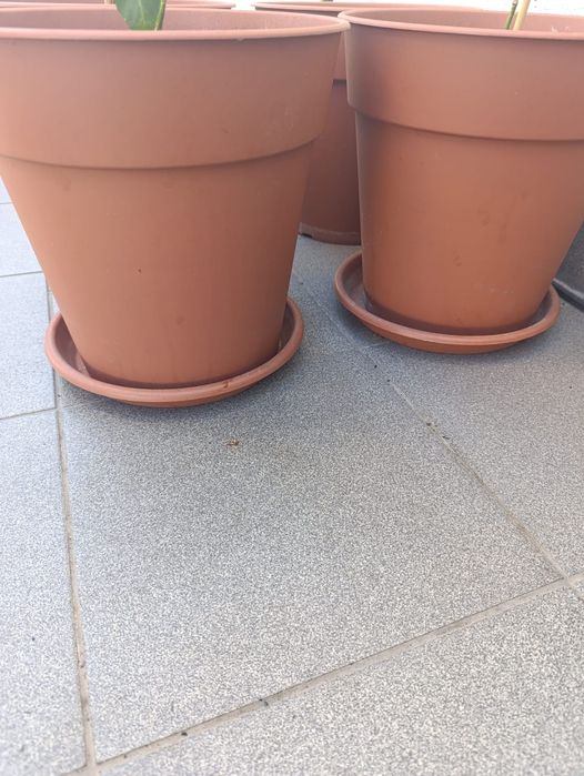 Vasos terracota 30 cm