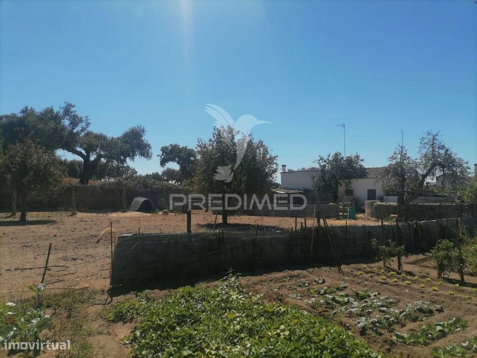 Terreno