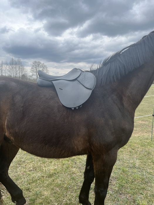 Siodło skokowe 28” /17.5