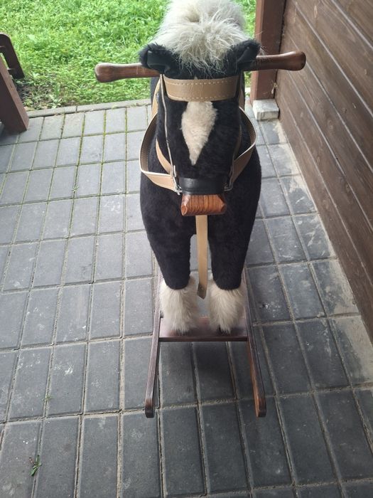 Kon na biegunach