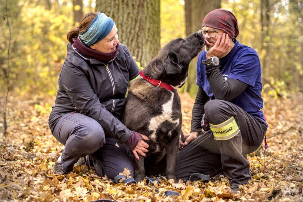 ILONKA - sunia sporych rozmiarów